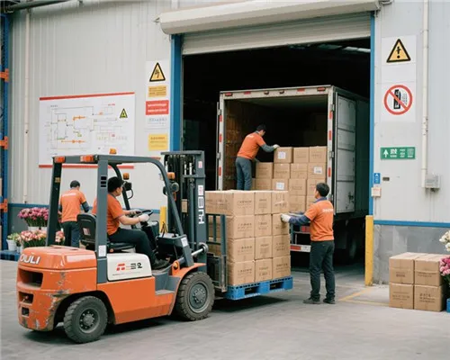 Ouli đã ký hợp đồng với Nigeria cho bức tường cỏ nhân tạo trị giá 20.000 đô la Mỹ