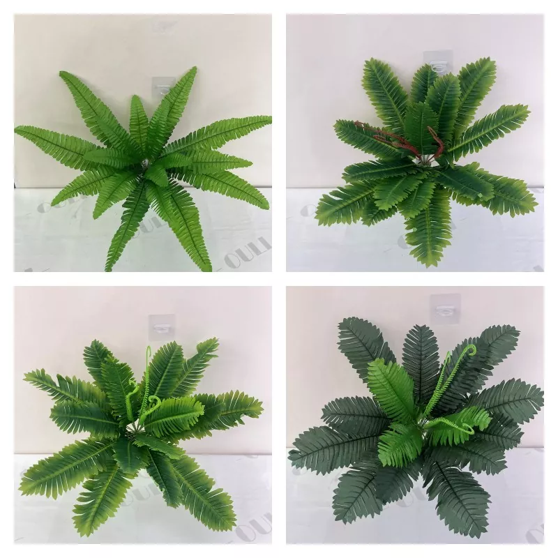 Boston nhân tạo Fern