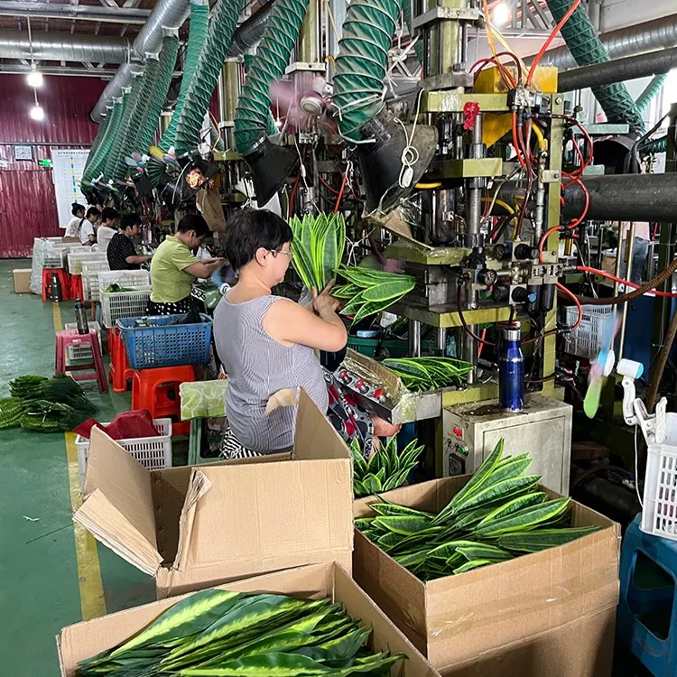 Cây thường xuân nhân tạo