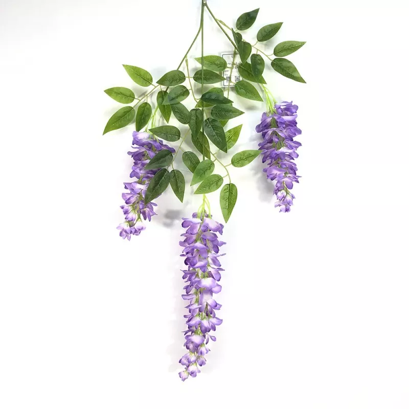 Chi nhánh Wisteria giả