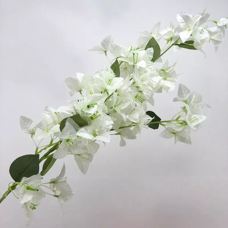 Hoa giả bougainvillea