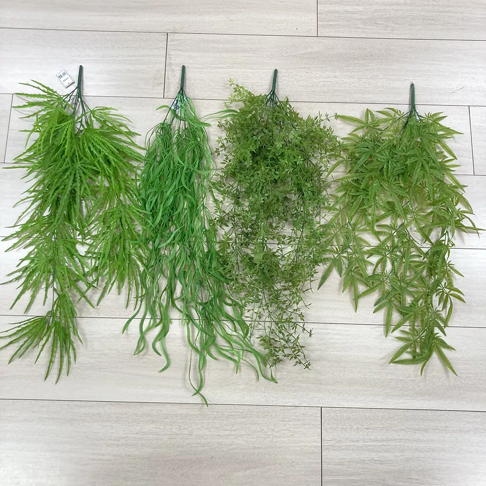 Treo tường dương xỉ