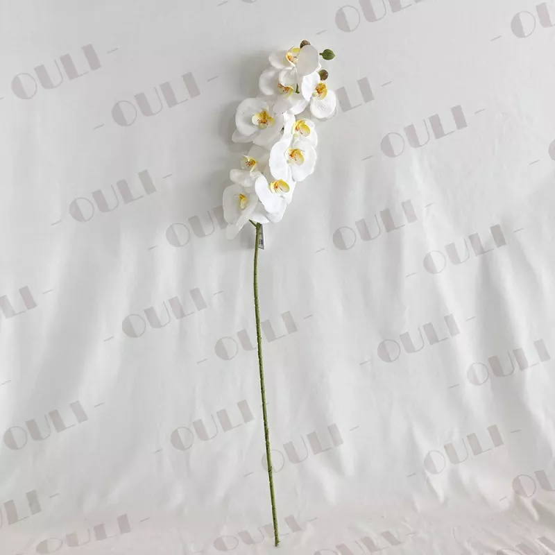 Thực sự cảm ứng hoa lan giả